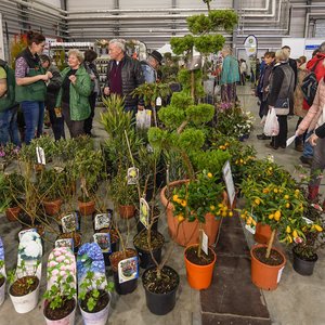 SaaleBAU 2016, Messeimpression