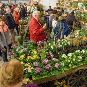 SaaleBAU 2016, Messeimpression