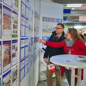 SaaleBAU 2017, Messeimpression