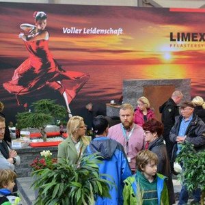 SaaleBAU 2015, Messeimpression