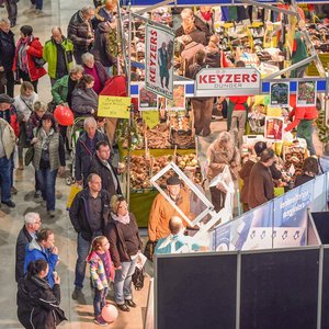 SaaleBAU 2016, Messeimpression